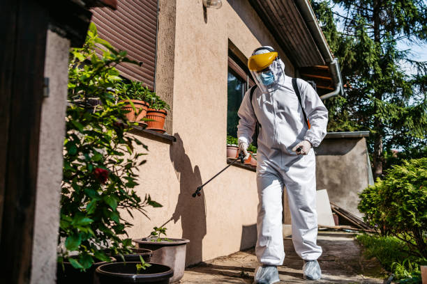 Best Residential Pest Control  in Davis Junction, IL