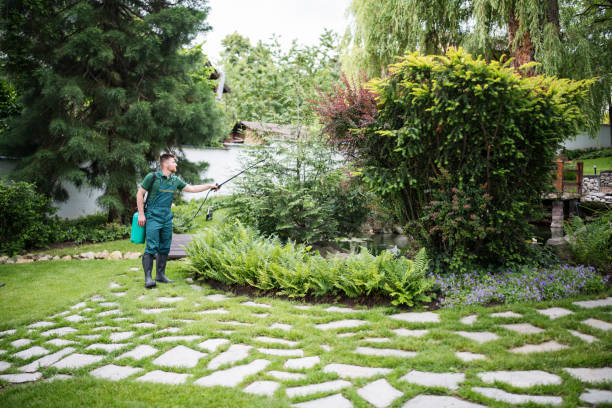 Best Best Pest Control Companies  in Davis Junction, IL