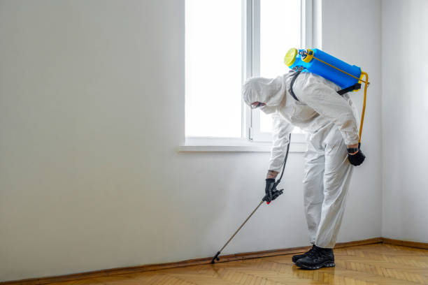 Pest Control for Restaurants in Davis Junction, IL