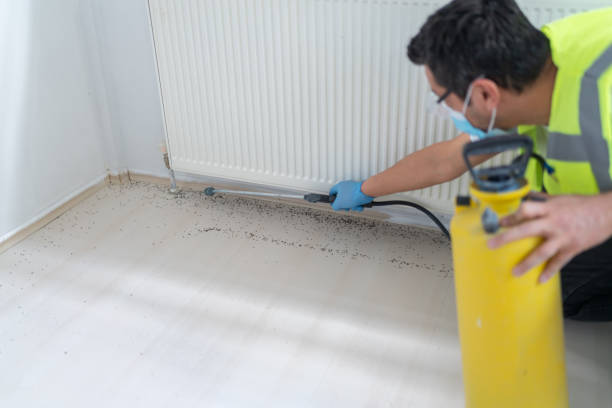 Best Emergency Pest Control  in Davis Junction, IL